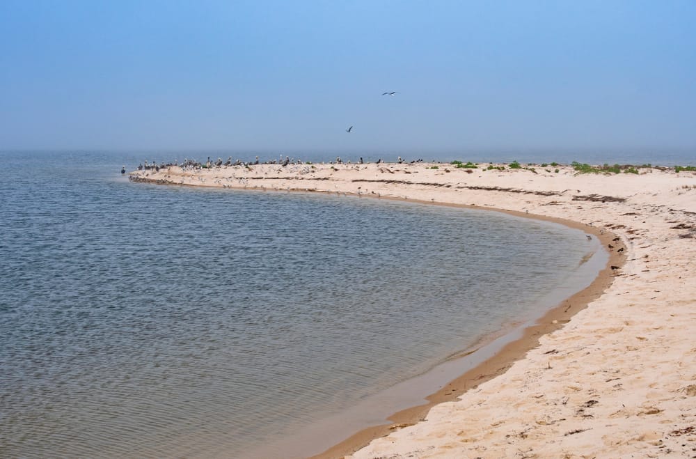 Bald Point state park is one of the beaches located only 45 minutes south of Tallahassee