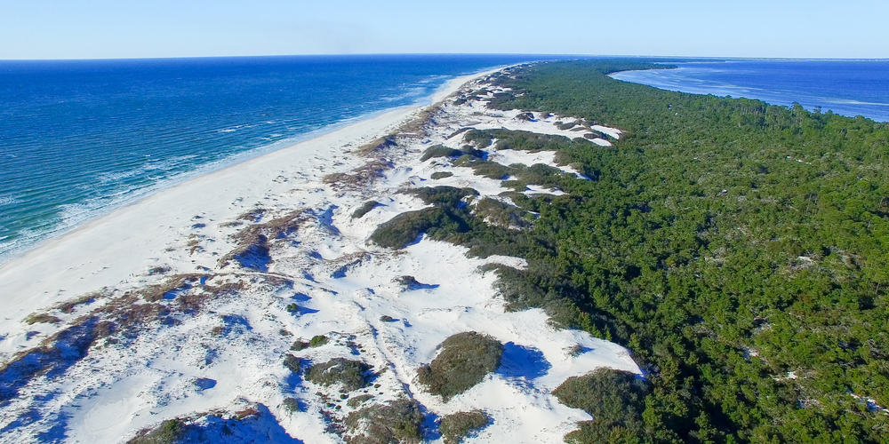 Cape San Blas is one of the beaches near Tallahassee two hour west and perfect for those looking for a remote beach