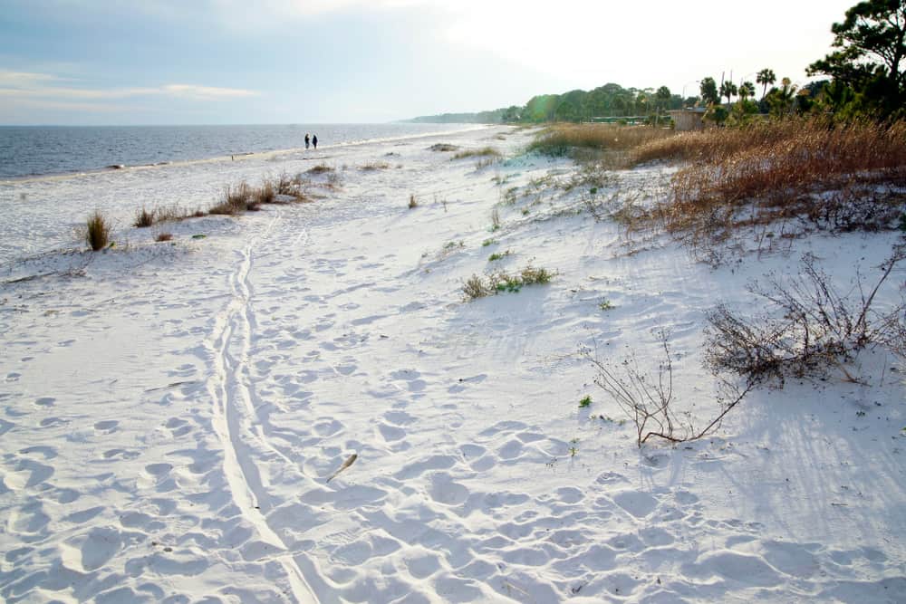Carrabelle beach is located off highway 98 and is located an hour south of Tallahassee