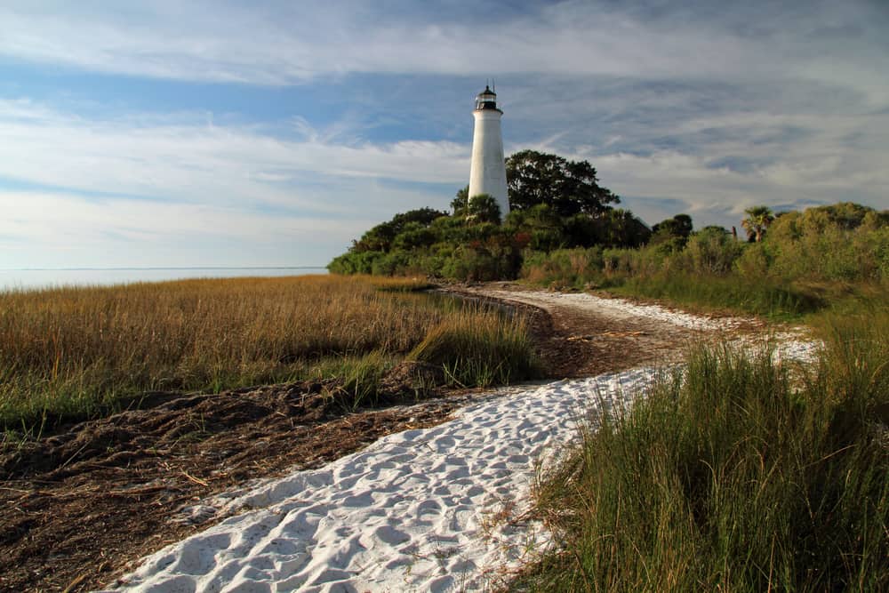 St. Marks wildlife refuge is where you can go to the beach and visit the lighthouse too