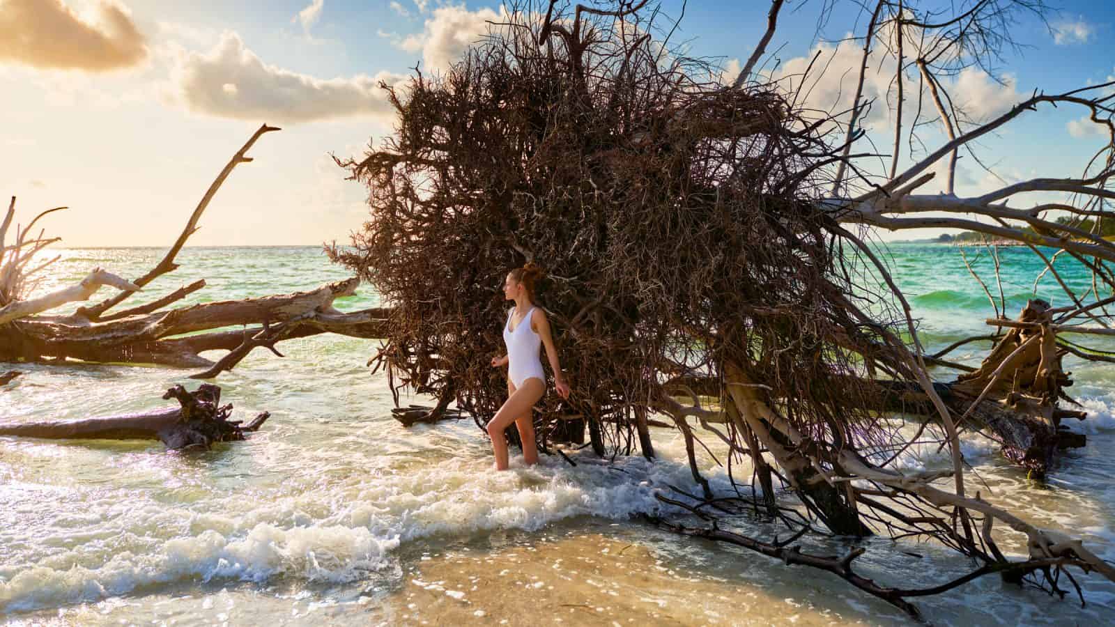 leaning up against driftwood at beer can island in Florida