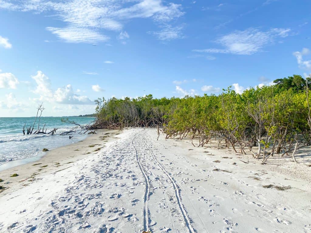 path through the mangroves to Beer Can Island