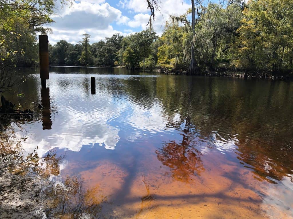 Stage Pond glistens on the Citrus Hiking Trail, one of the most robust trails for hiking in Florida. 