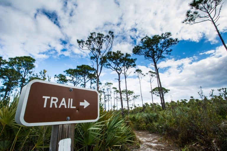 day hiking trips florida