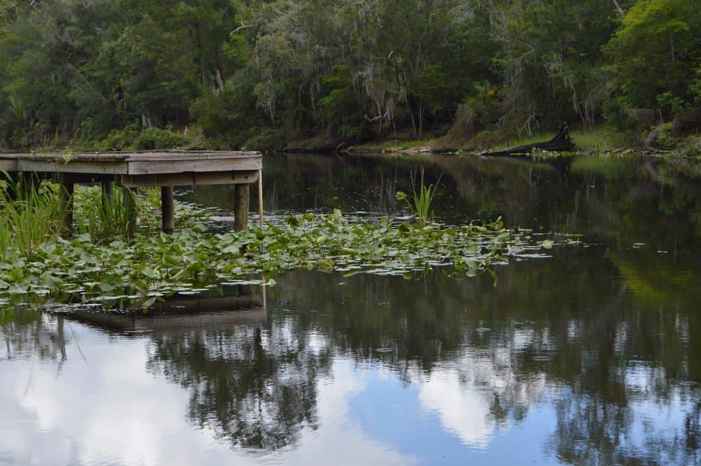 A dock stands over the gentle, flowing waters of Withlacoochie River, one of the best things to do in Dade City.