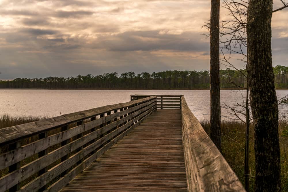 A boardwalk heading to water in Tarklin Bayou Preserve State Park, one of the great outdoor things to do in Pensacola.