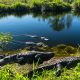 things to do in Everglades National Park