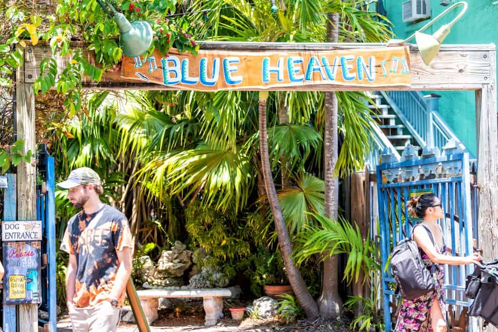 A sign for Blue Heaven hangs over a patio lush with tropical palm trees and a brightly colored fence.