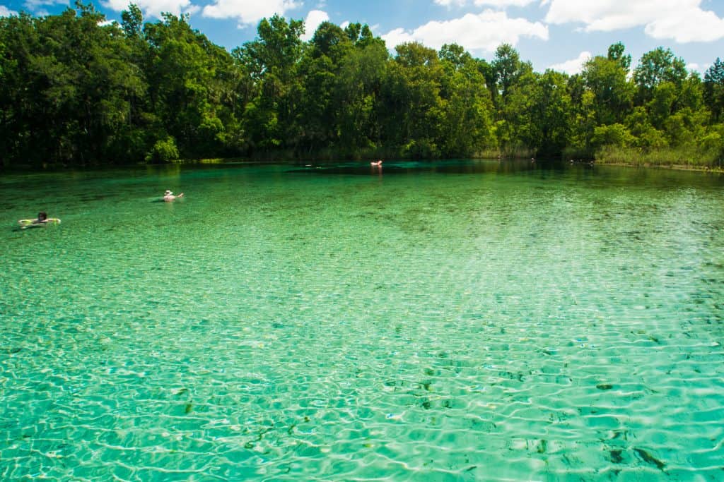 Sunbathers lounge in the green waters of Alexander Springs.