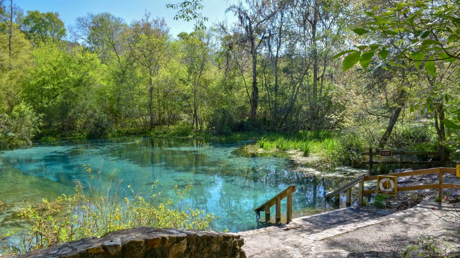 florida springs with camping