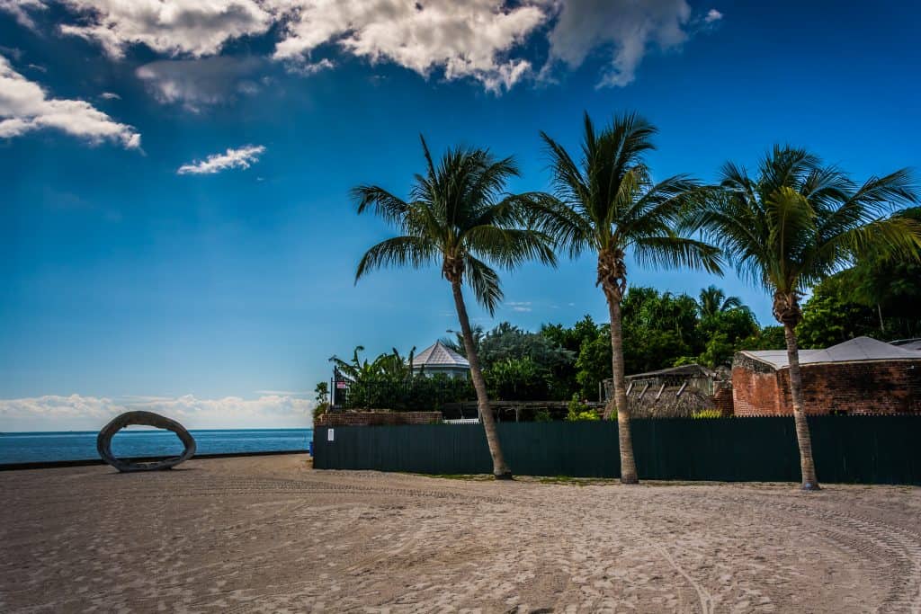 Three palm trees stand in front of a wooden fence on Higgs Beach in Key West, Florida.