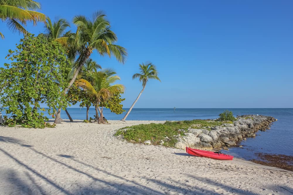 A red kayak and palm trees sit on the shore of Rest Beach, where a small rocky point reaches into the ocean.