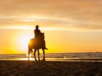 horseback riding in florida is a great way to see an amazing sunset