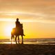horseback riding in florida is a great way to see an amazing sunset