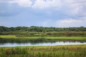 12 Beautiful Places For Horseback Riding In Florida - Florida Trippers