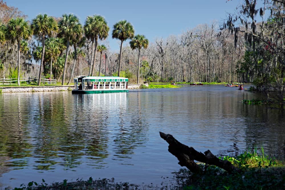 A glass bottom boat at Silver Springs