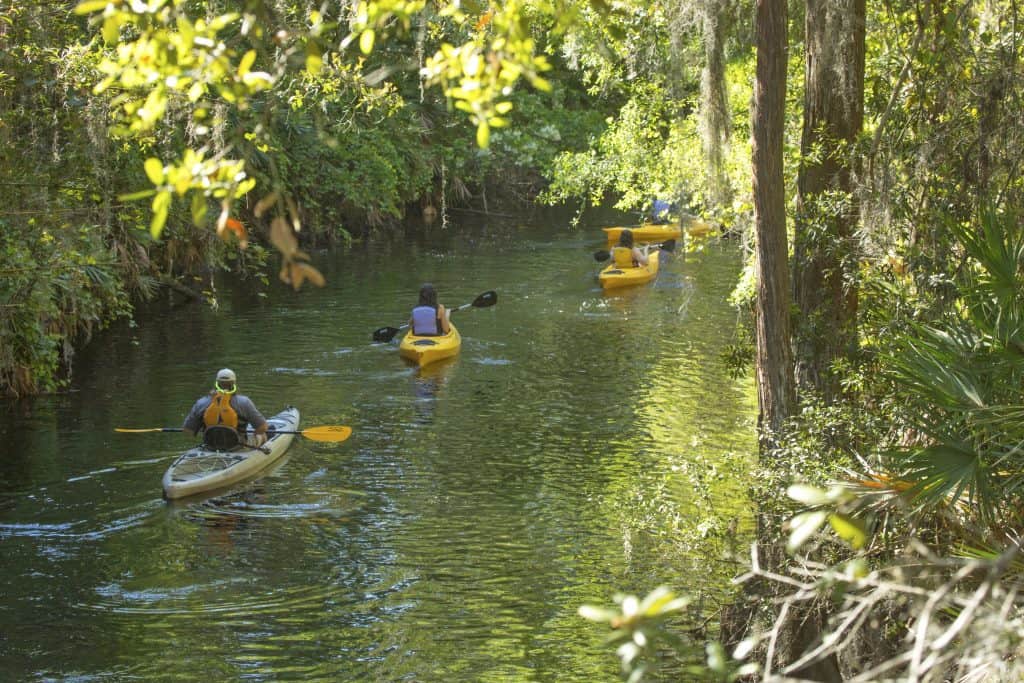 Paddlers float in their kayaks on Shingle Creek, one of the best things to do in Kissimmee.