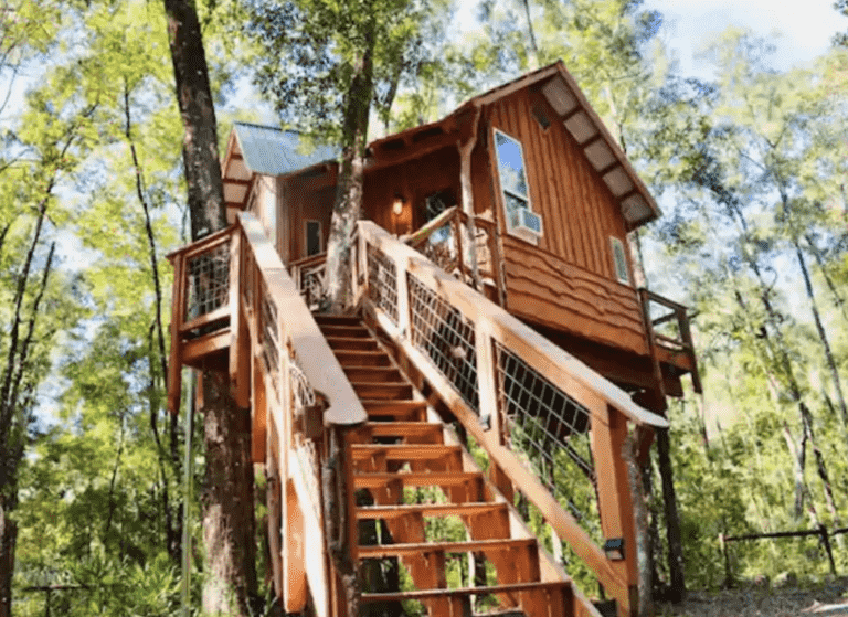 16 Best Treehouses In Florida for The Perfect Retreat Florida Trippers
