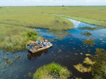 Come to the Everglades National Park for some of the best airboat tours