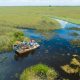 Come to the Everglades National Park for some of the best airboat tours