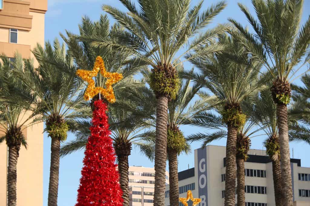 A tree in downtown has a star affixed to the top, ushering in Christmas in Tampa.