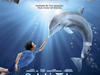 You can visit Winter, the dolphin from the movie at clearwater aquarium in florida!