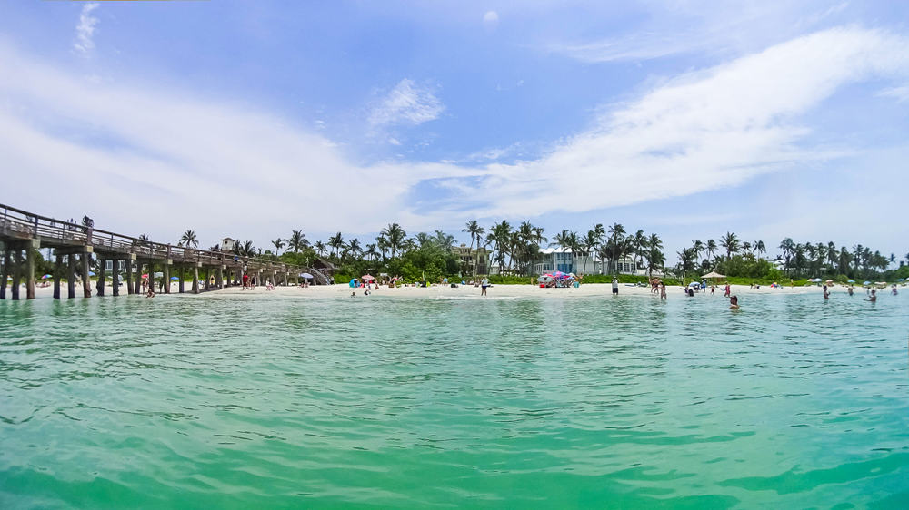 People in the water on the Florida coast