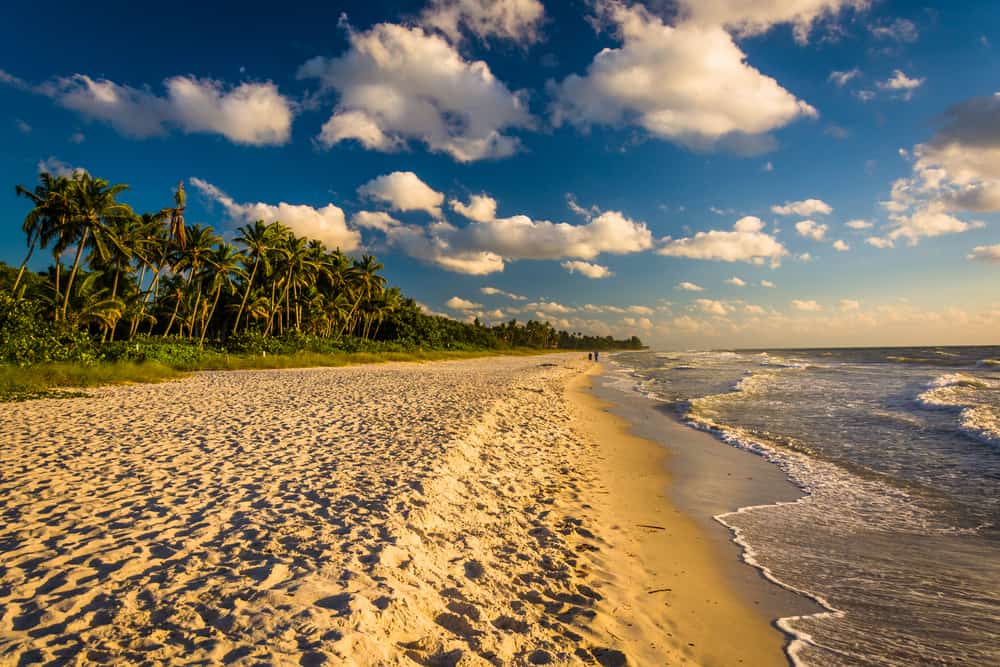 Naples one of the Flroida gulf beaches