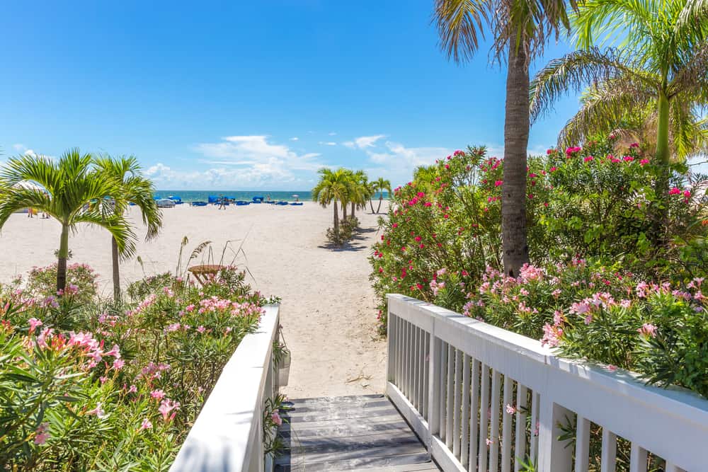 St Petes Beach surrounded by flowers