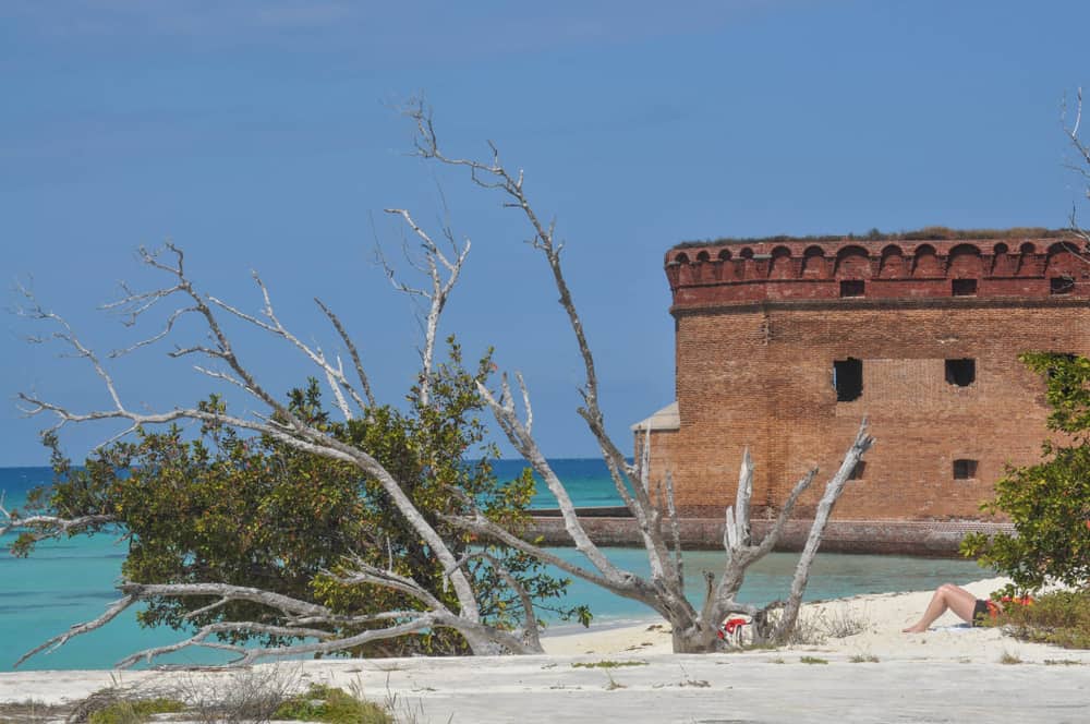 Trees on the beautiful beach at Dry Tortugas National Park with sunbathers laying nearby and the fort in the back.