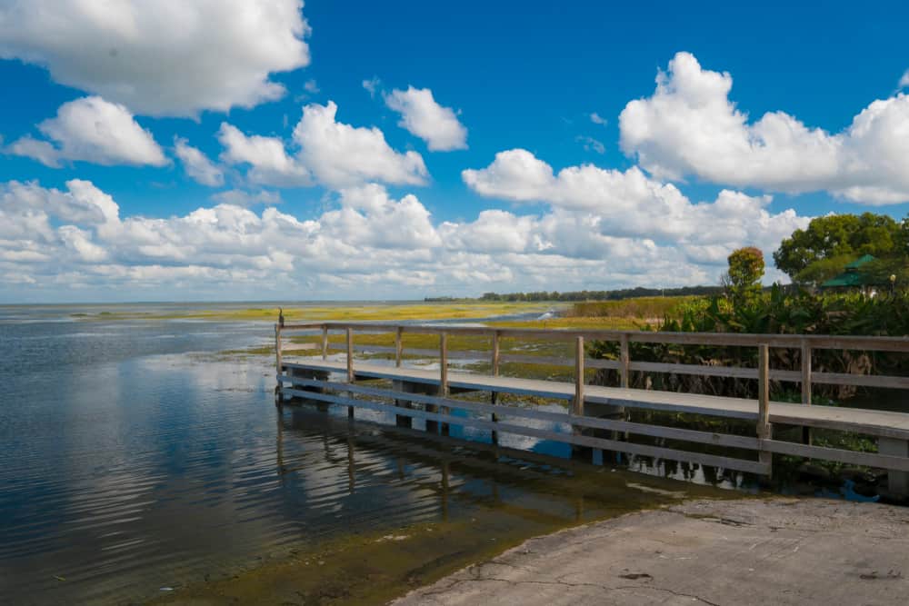 Lake Apopka On A Winter Day 