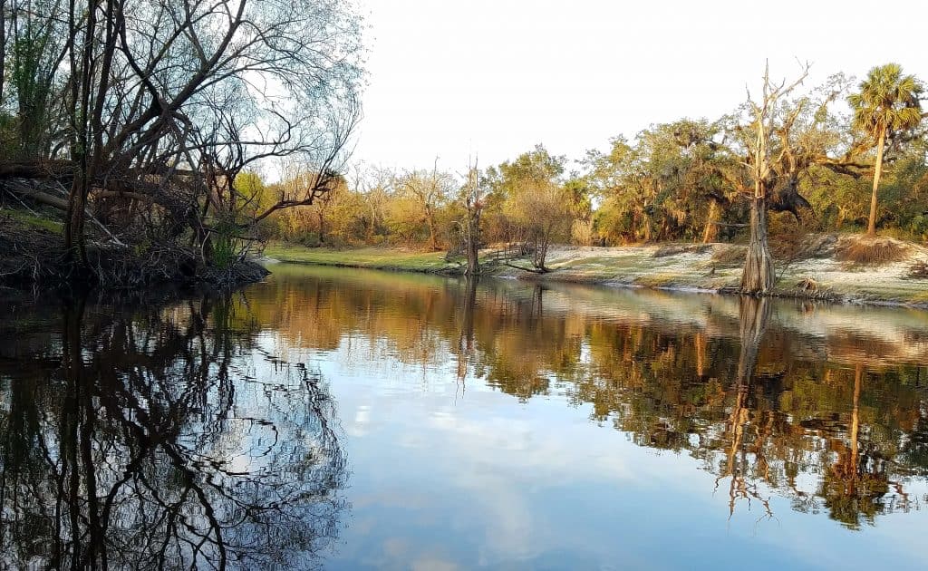 Photo of a serene day on the Peace River, one of the most beautiful Florida rivers. 