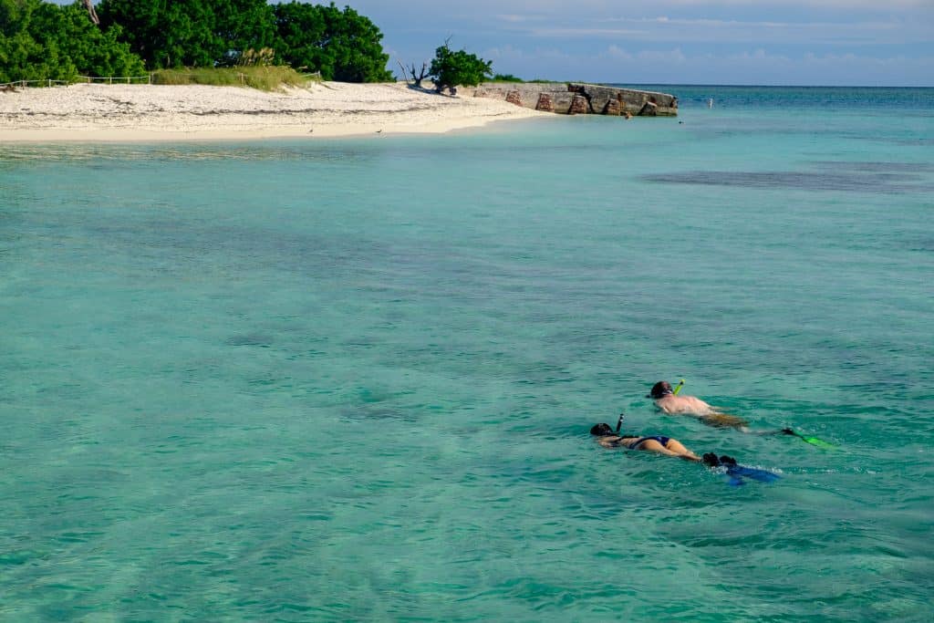 Two snorkelers swim at the waters surface on the waters near Dry Tortugas National Park.