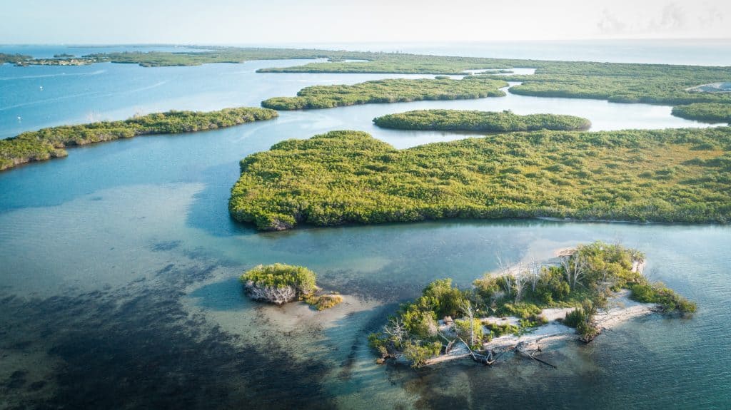 Photo of the Indian River Lagoon