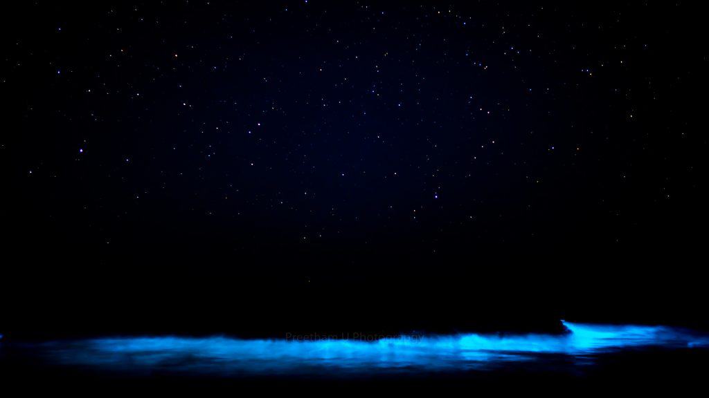 A wave filled with bioluminescence crashes on the beach under the stars.
