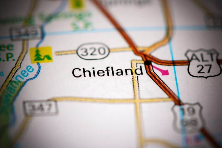 Tips For Visiting Chiefland, Florida Florida Trippers
