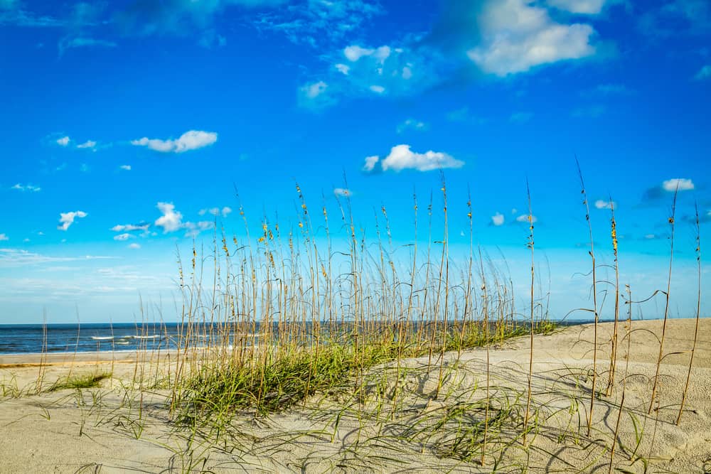 Florida East Coast Beaches of Amelia Island