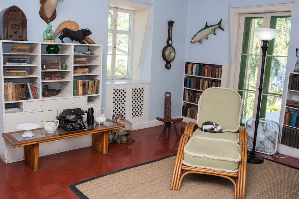 Yep, you read that right - there are six-toed cats at the Ernest Hemingway House! 