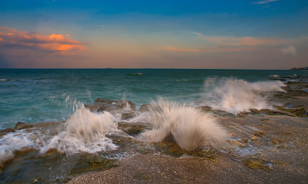 Blowing Rocks Park is on our fun things to do in Florida list because there are so many different endangered wildlife for you to see