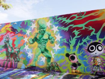 tips for exploring the wynwood walls in miami