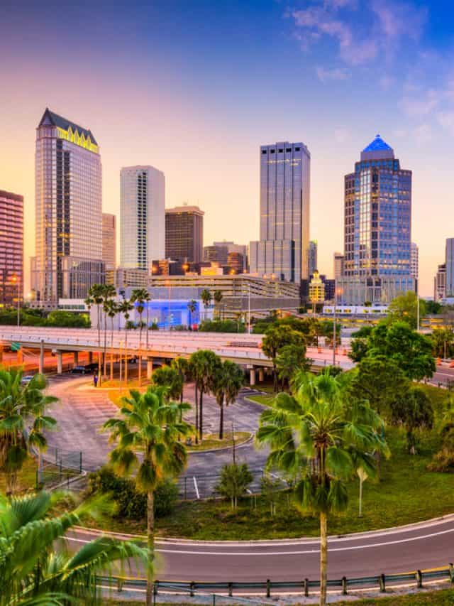 20 Best Things To Do In Tampa story
