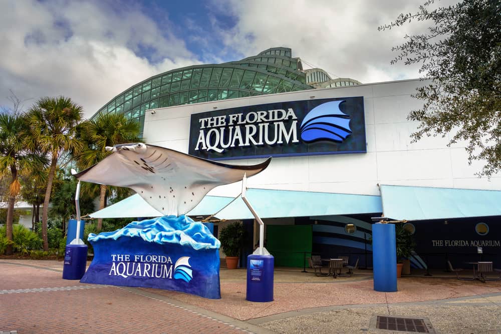 A large statue of a mantra ray stands at the entrance to The Florida Aquarium. Located in Tampa, this 250,000 foot aquarium is the perfect things to do in Central Florida.