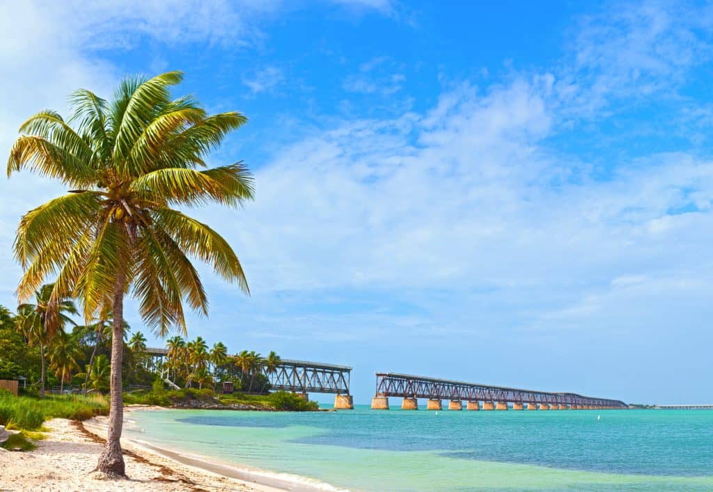 A palm tree sits in the foreground on a beach with the old bridge crumbling in the background at Bahia Honda State Park, one of the best things to do in the Keys.