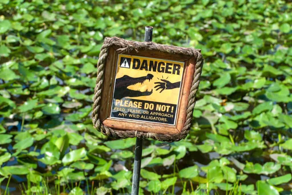 A sign warns guests not to approach alligators on Alligator Alley in Florida.