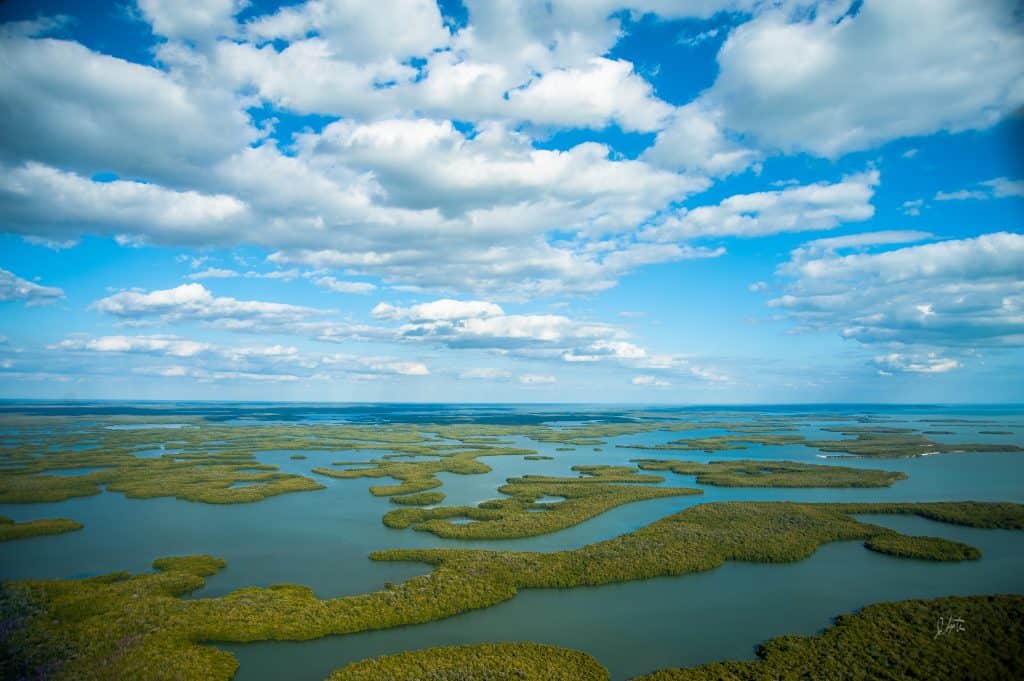 The waterways of the Everglades glitter in the sunshine along Alligator Alley in Florida.