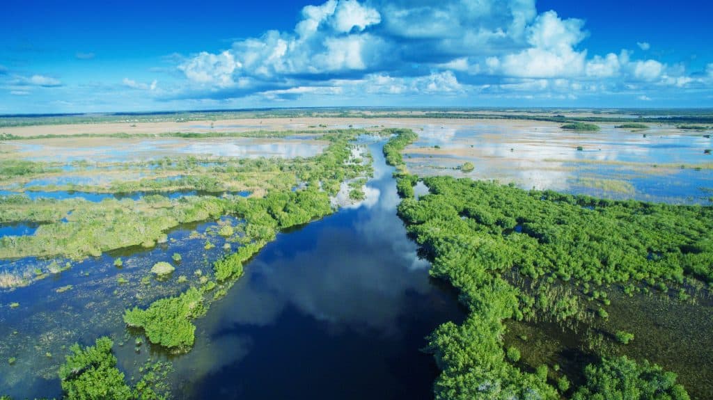 The waterways of the Everglades reflect the sky's clouds.
