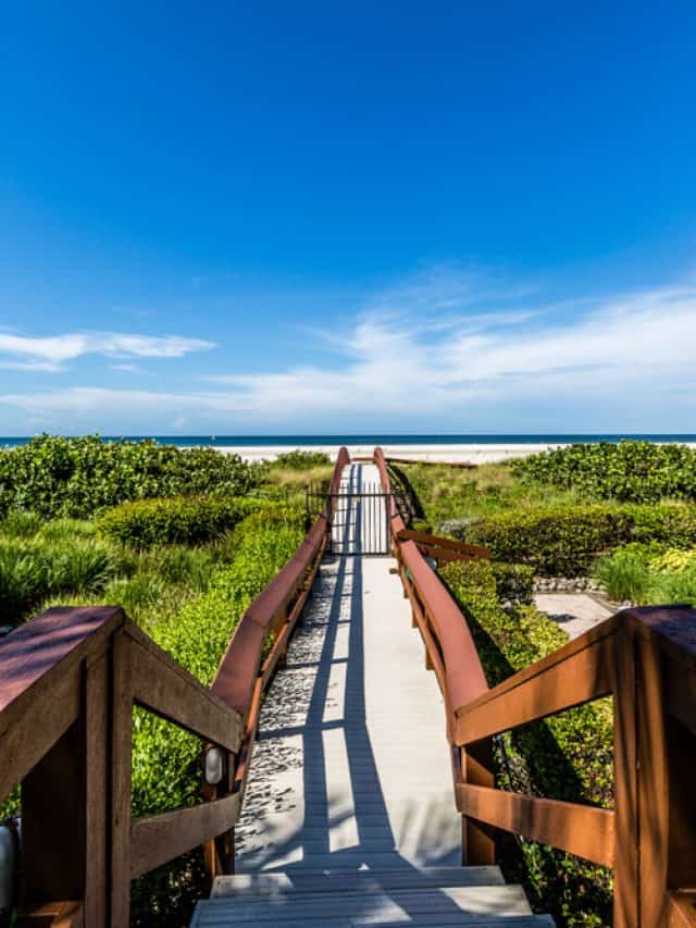 Best Things To Do In Marco Island Story