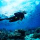 person scuba diving in the Florida keys