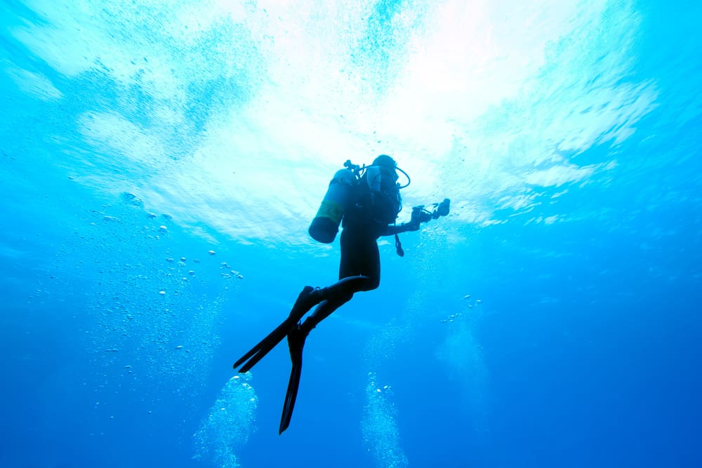 The U.S.C.G Blackthorn is one of the most popular dive sites in Florida and lies about 20 miles offshore in the Pinellas Artificial Reef Site #2