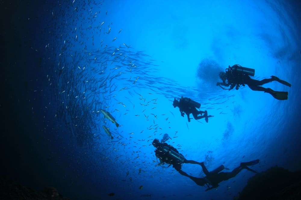 Panama City Beach is the wreck capital of the south, so it is bound to be an amazing scuba diving in florida experience.